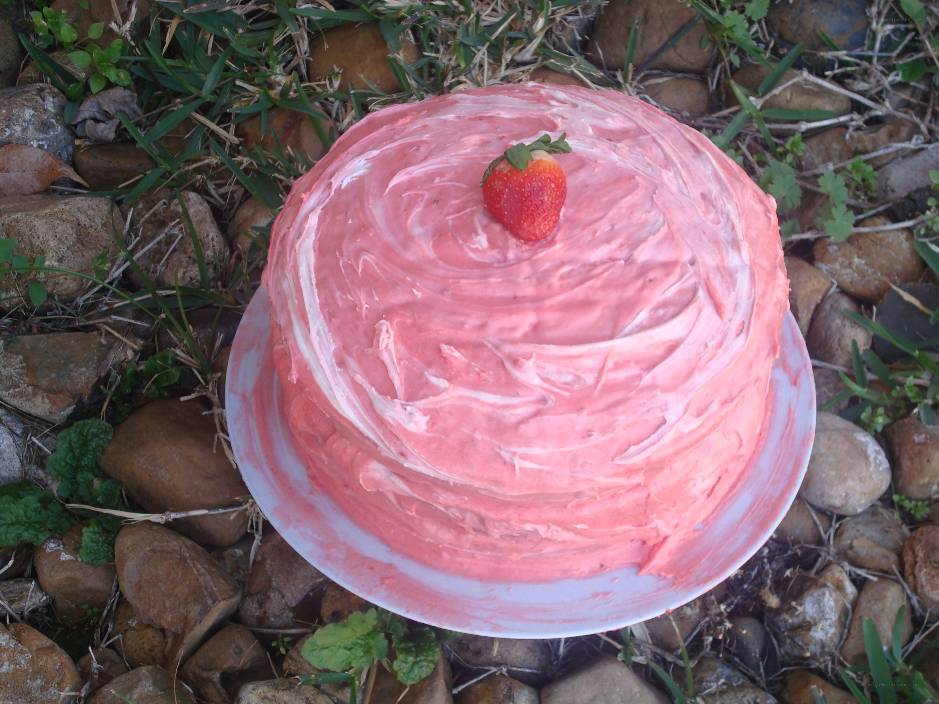 strawberry cake on rocks
