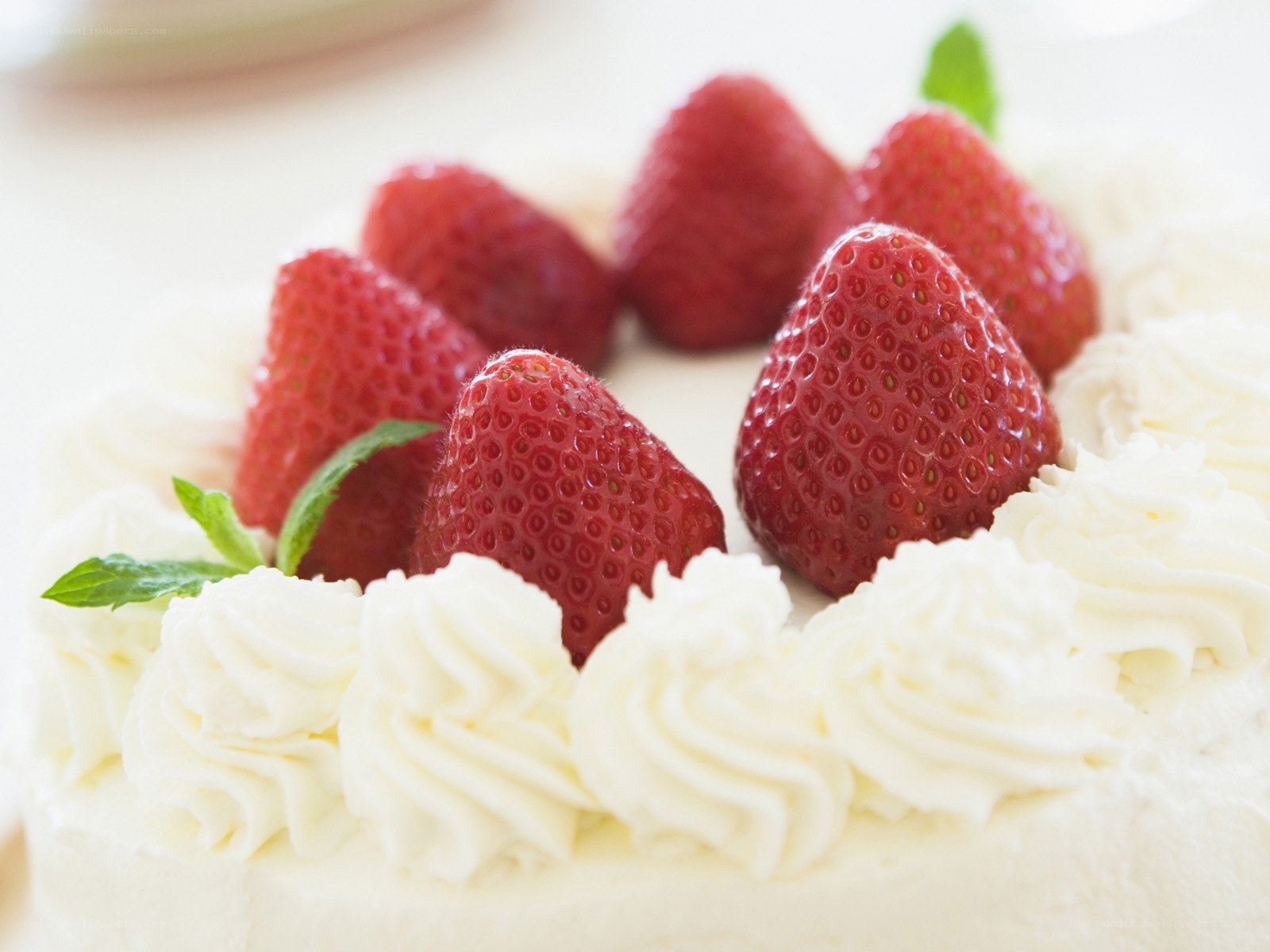 Strawberry cake with whipped cream