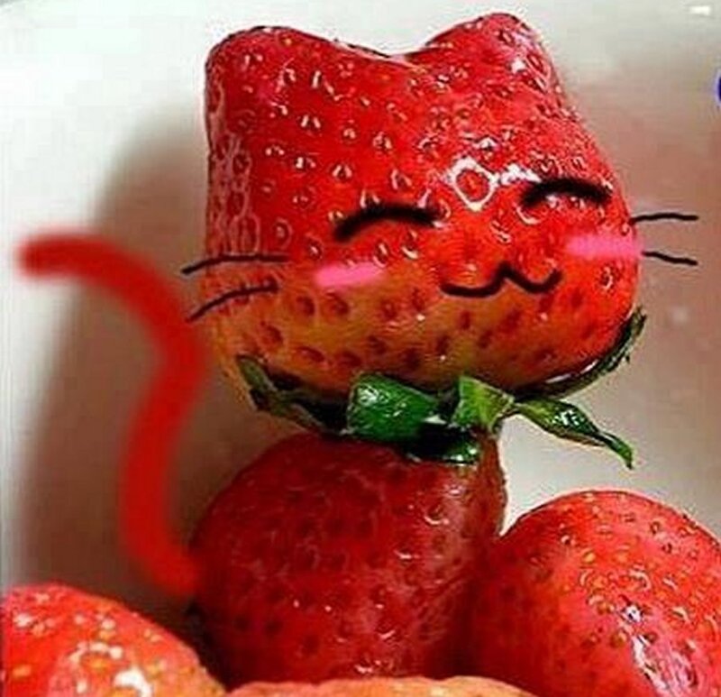 Strawberry Cat Figure