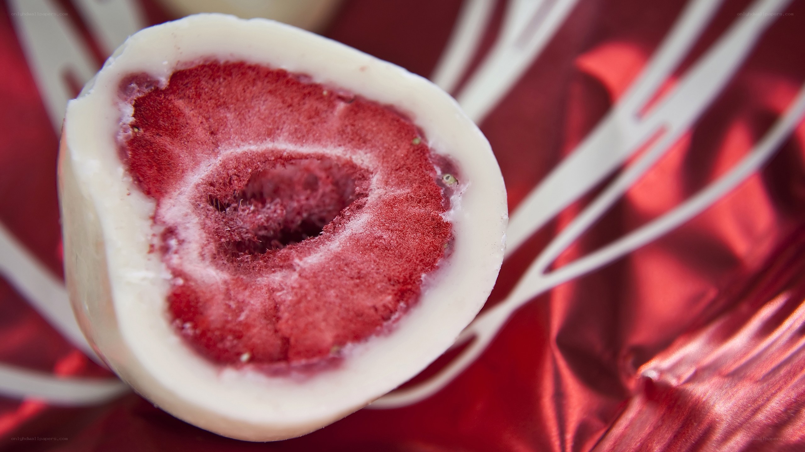 strawberry chocolate truffle
