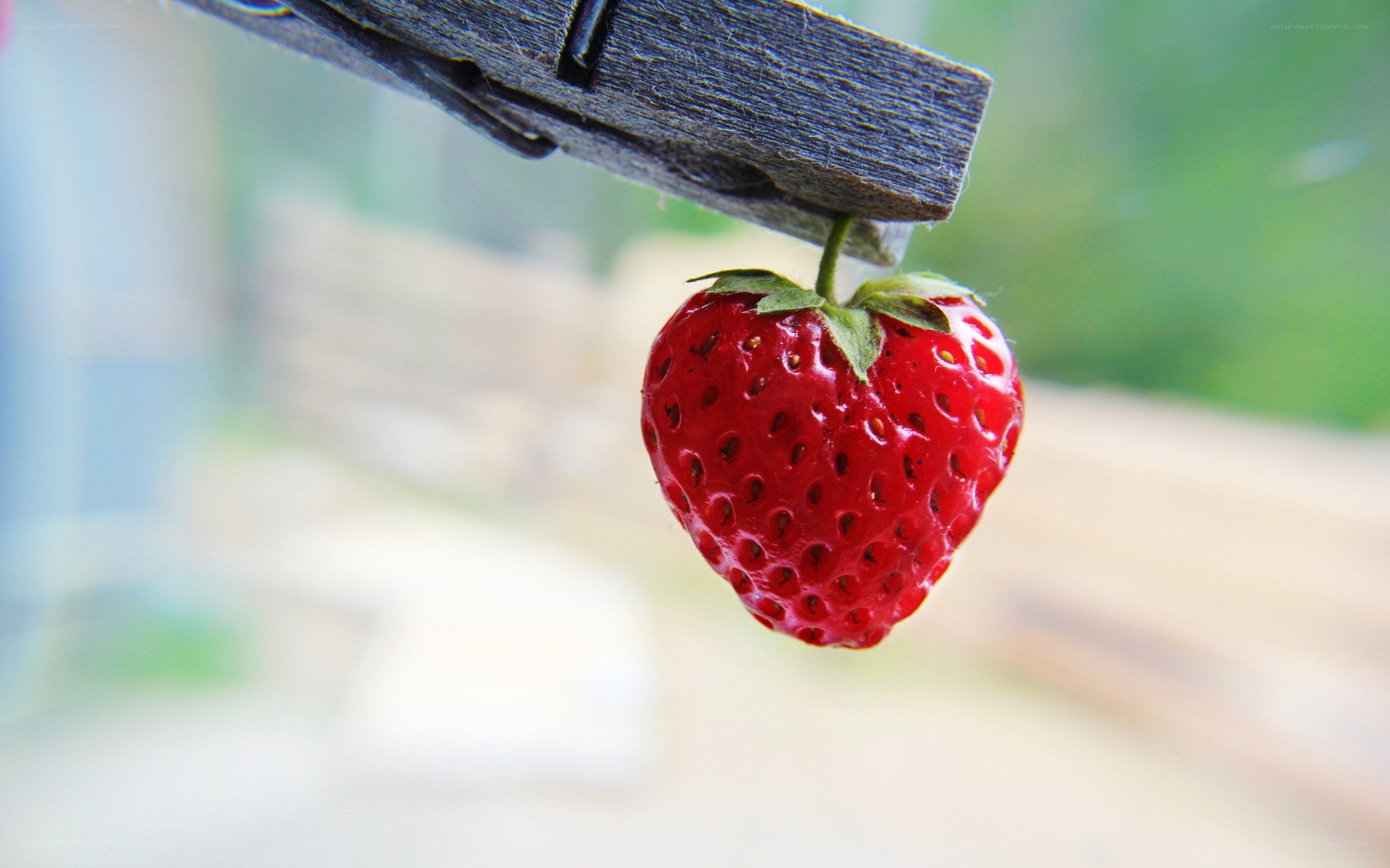 strawberry clipped to wood