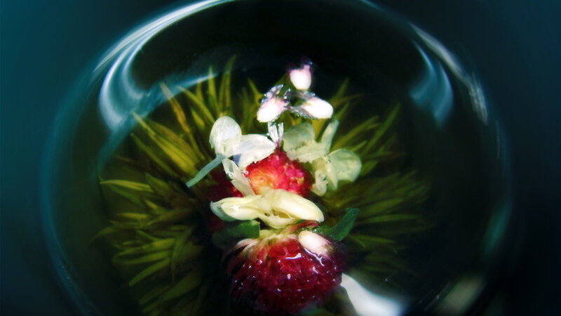 Strawberry Flower in Water