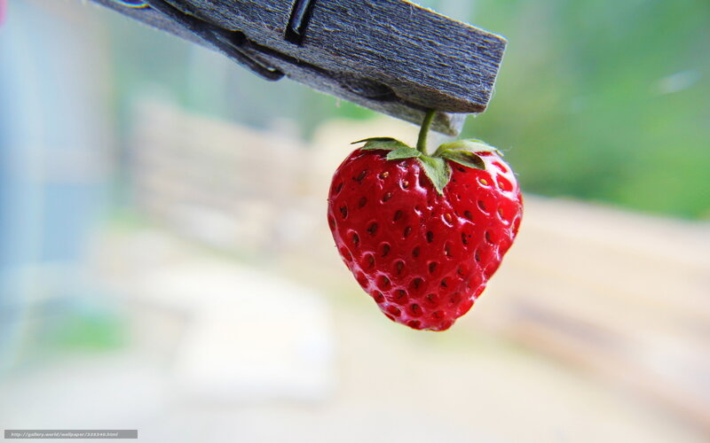 strawberry hanging from clothespin