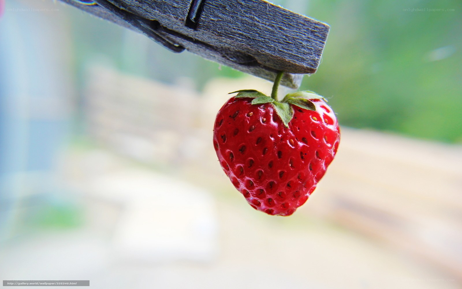strawberry hanging from clothespin