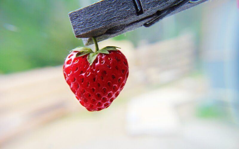 strawberry held by clothespin