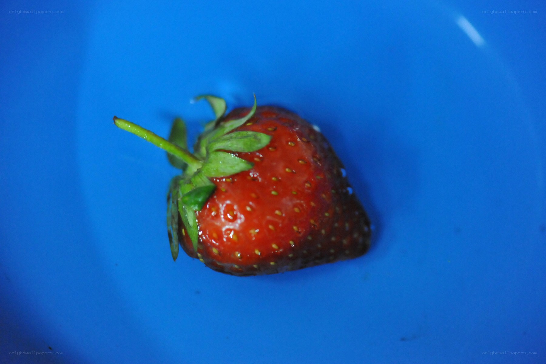 strawberry in a blue bowl