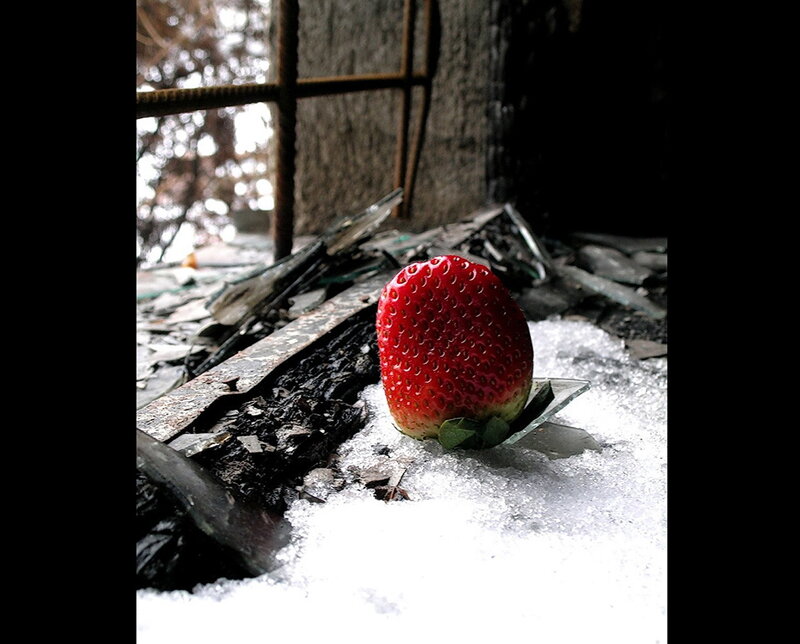 strawberry in a ruined room
