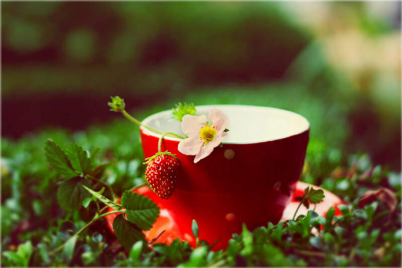 Strawberry in Red Cup