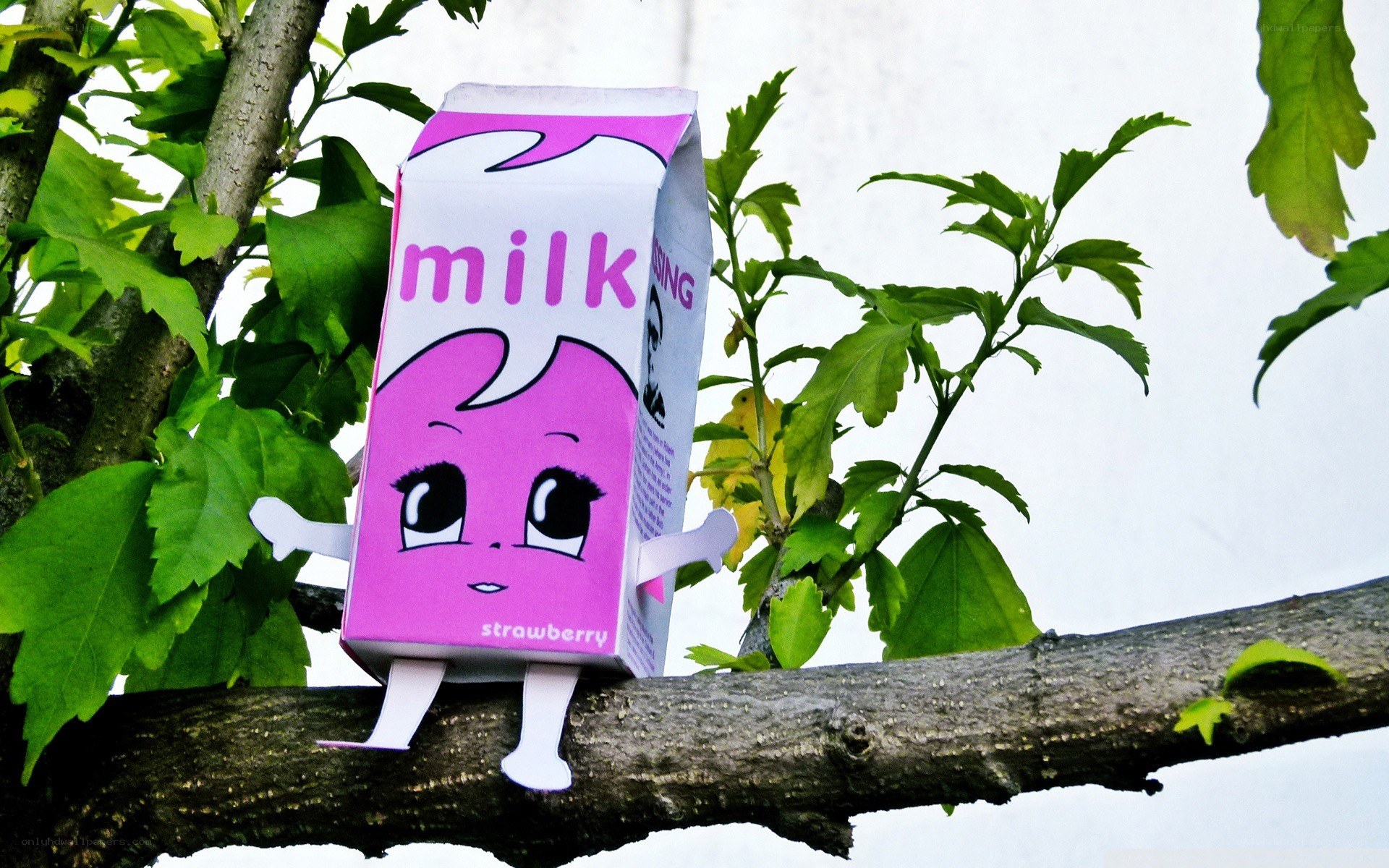 Strawberry milk carton character