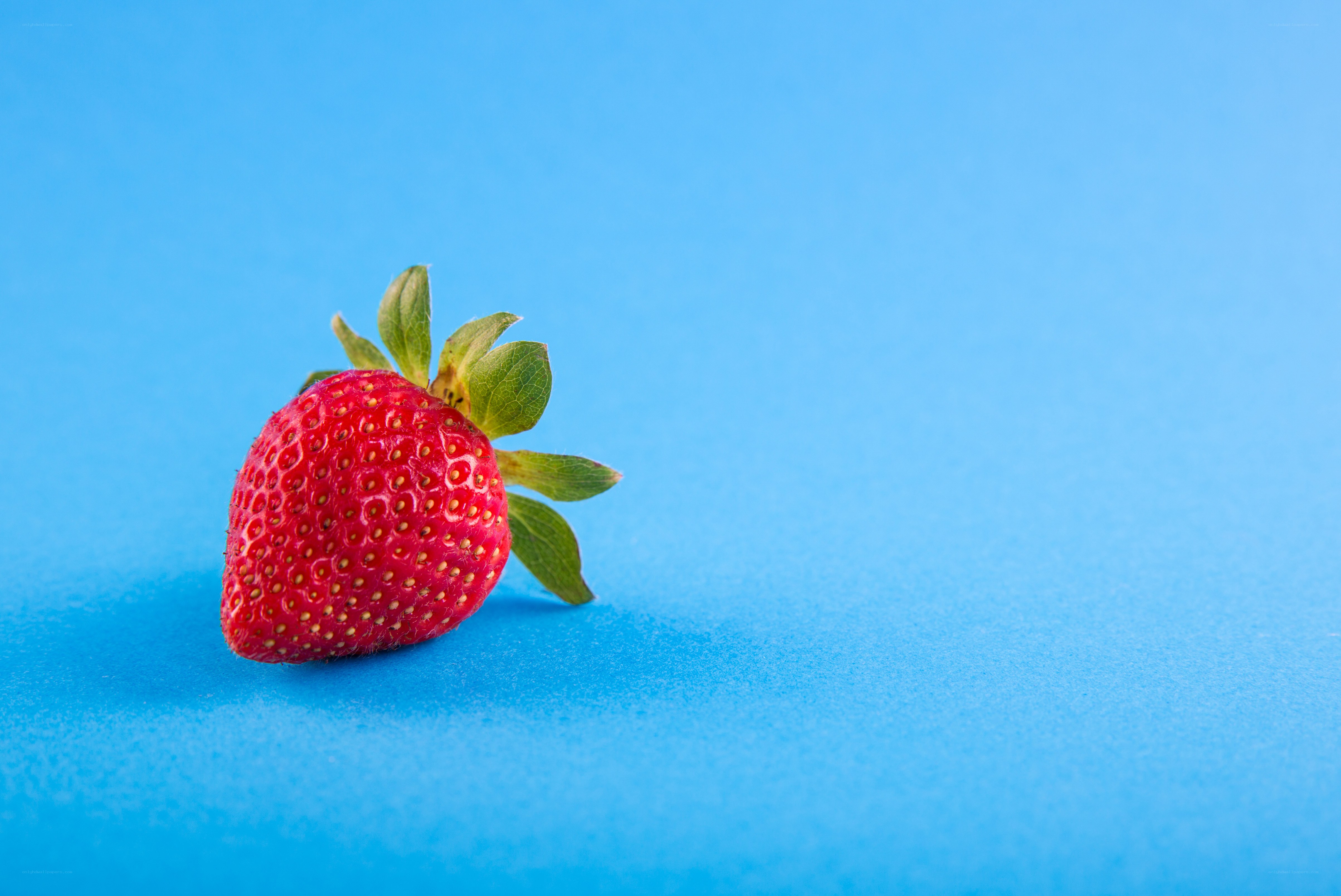 strawberry on blue background