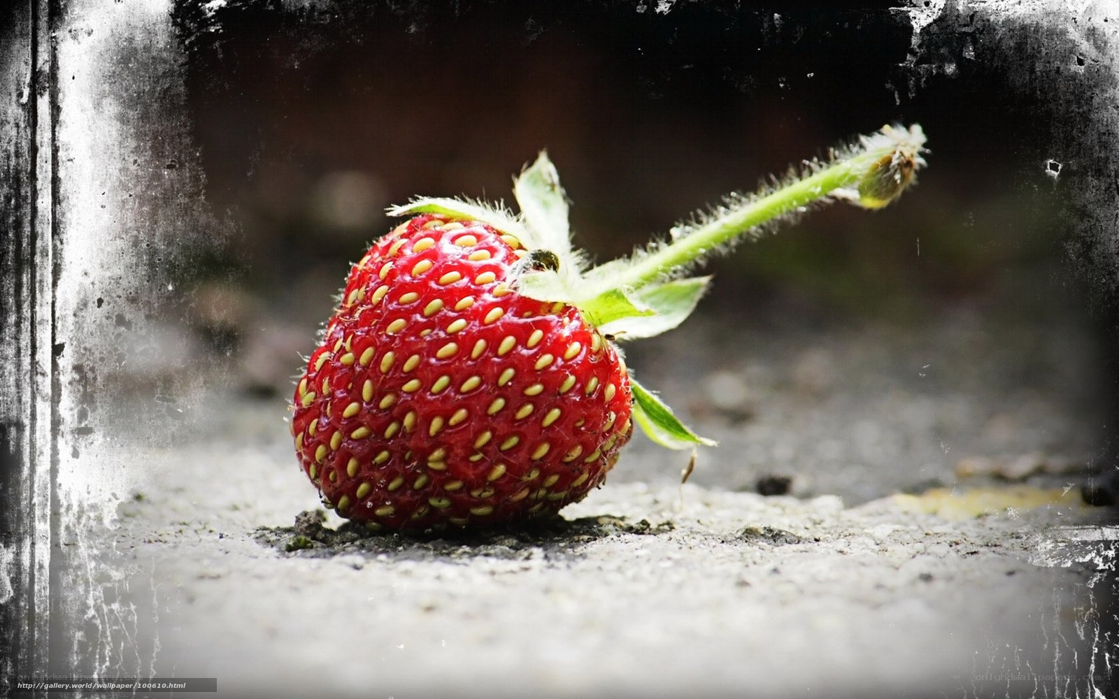 strawberry on concrete surface