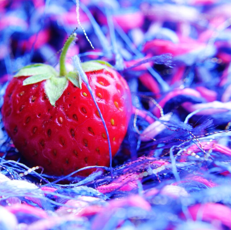 Strawberry on Fabric