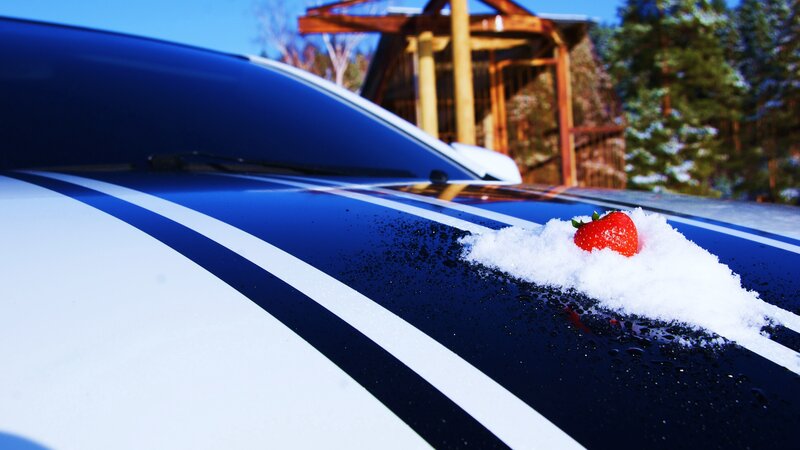 strawberry on snowy car hood