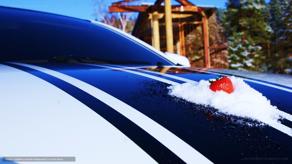 strawberry on snowy car hood