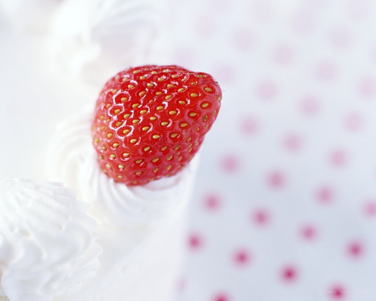 strawberry on whipped cream
