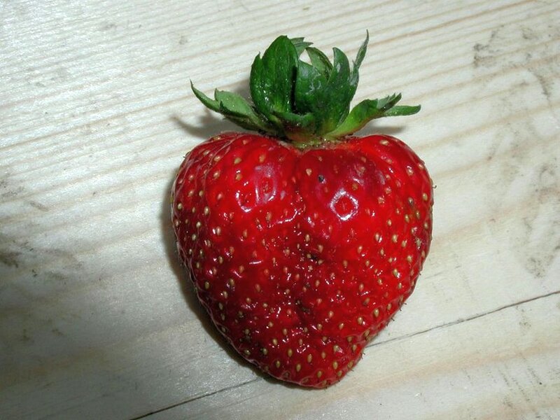Strawberry on Wood — Red