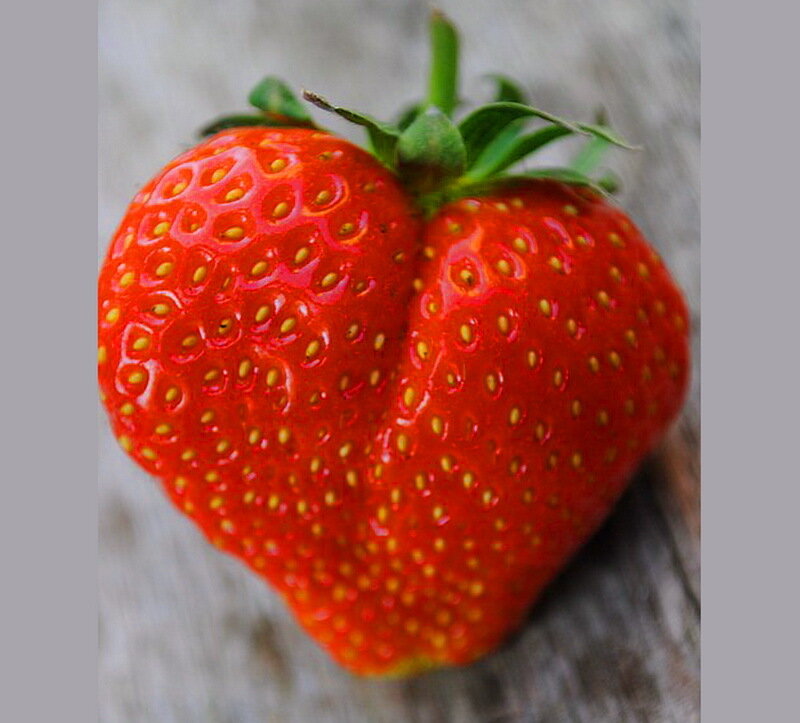 Strawberry on Wood