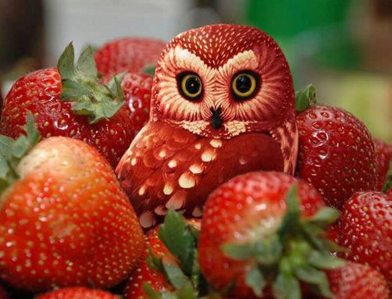 Strawberry Owl Sculpture