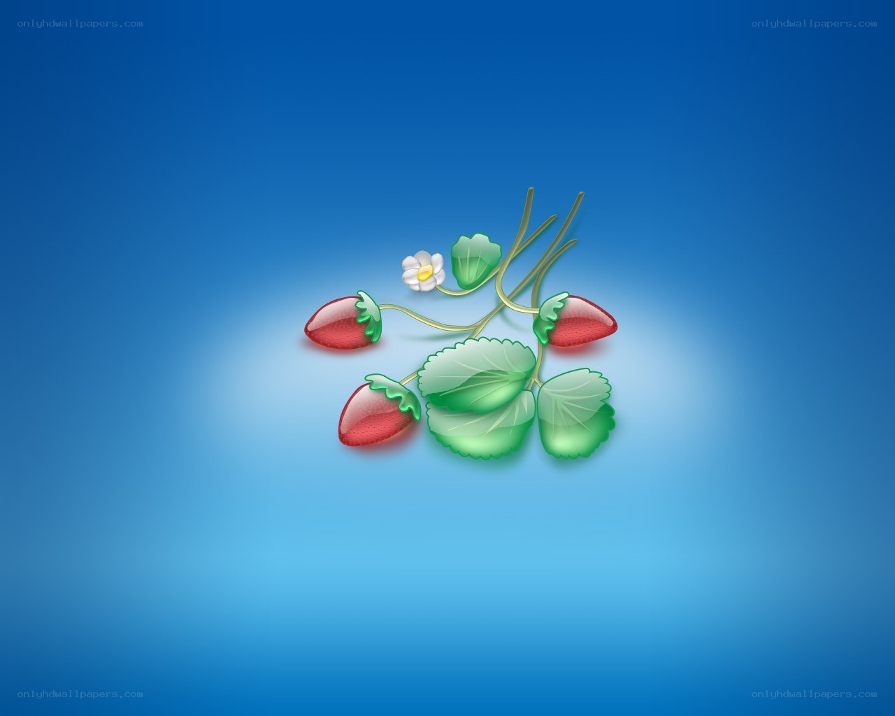 strawberry plant illustration