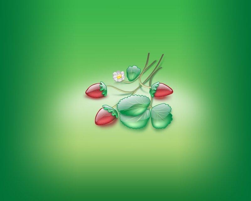 strawberry plant illustration