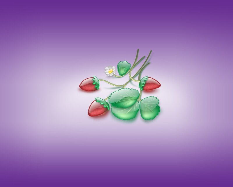 strawberry plant illustration