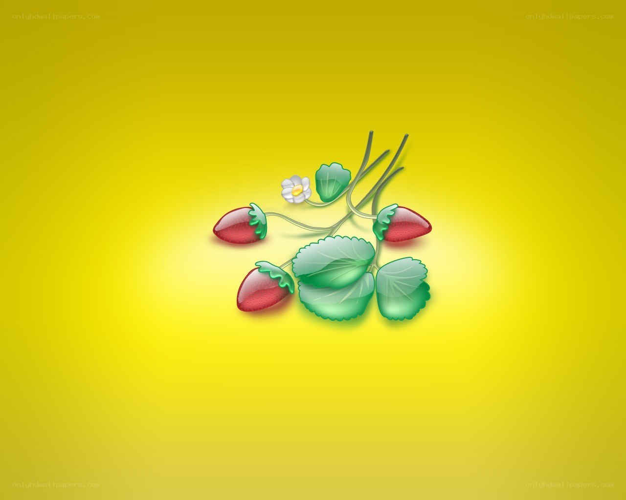 strawberry plant illustration