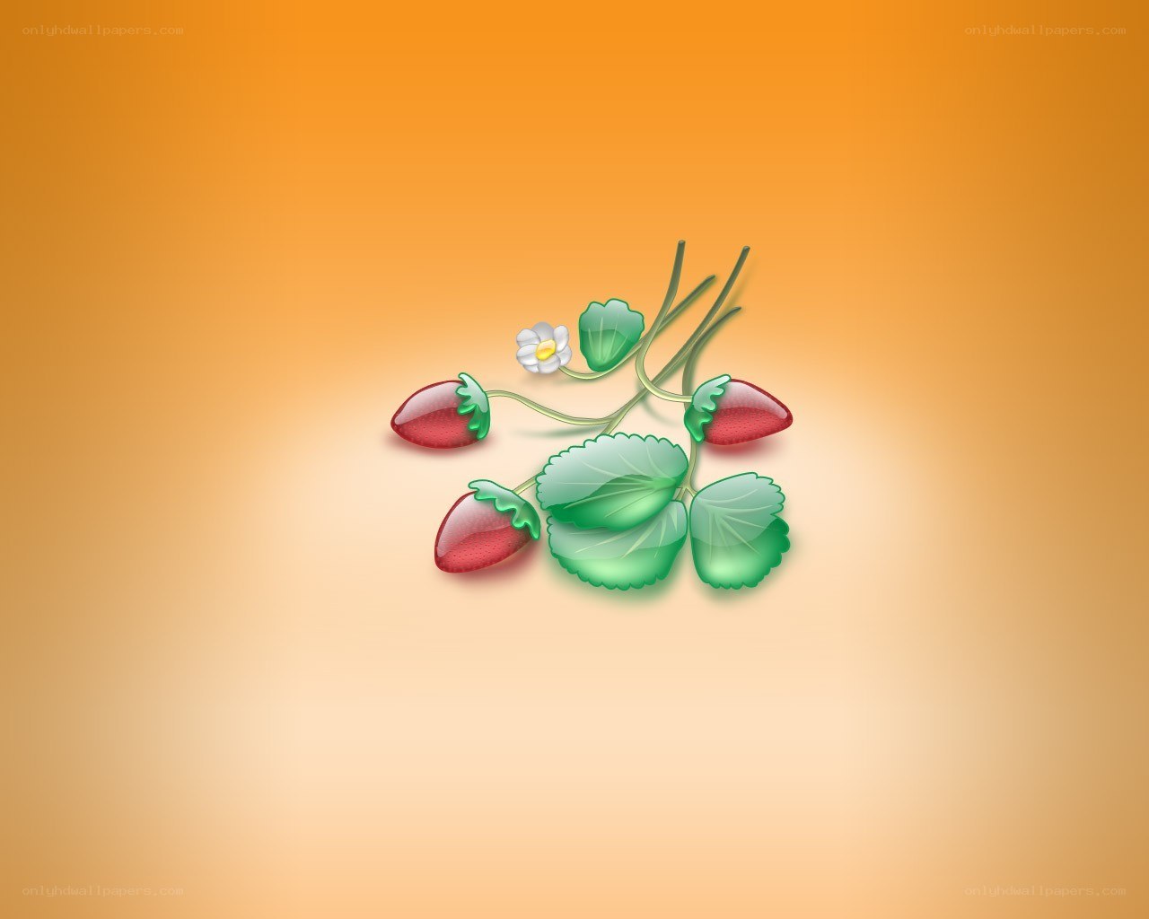 strawberry plant illustration