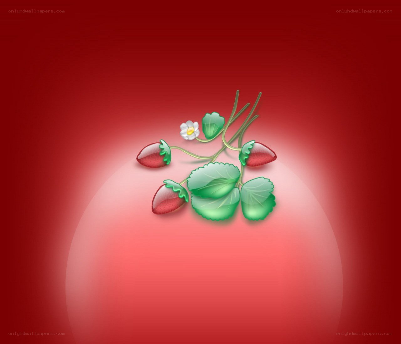 strawberry plant illustration