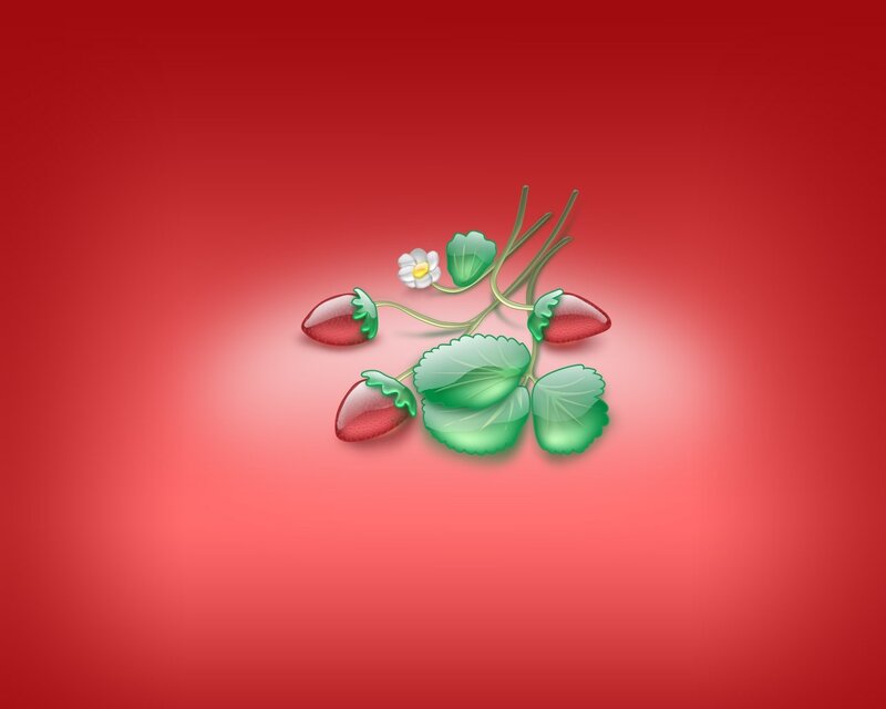 strawberry plant illustration