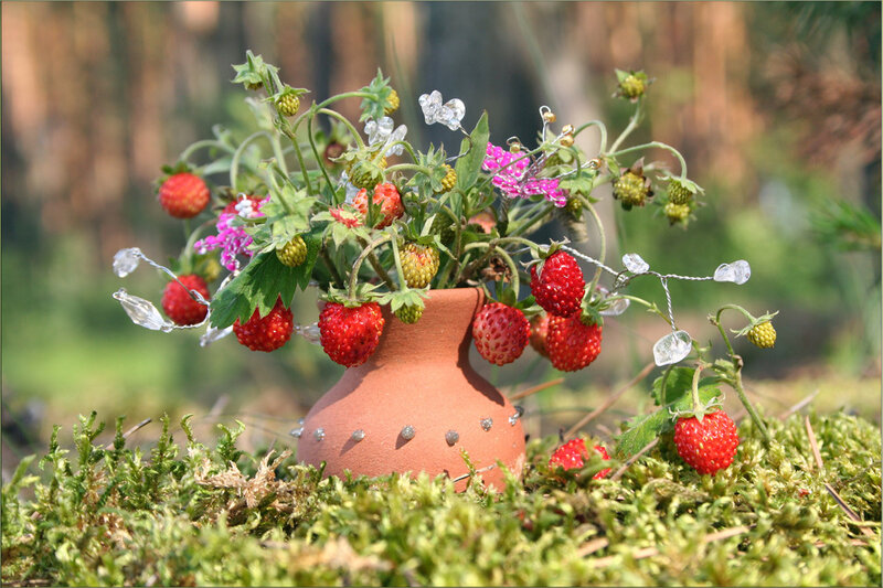Strawberry Plant in Vase — Green