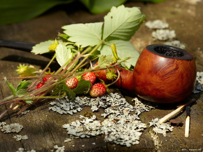 Strawberry Plant with Pipe