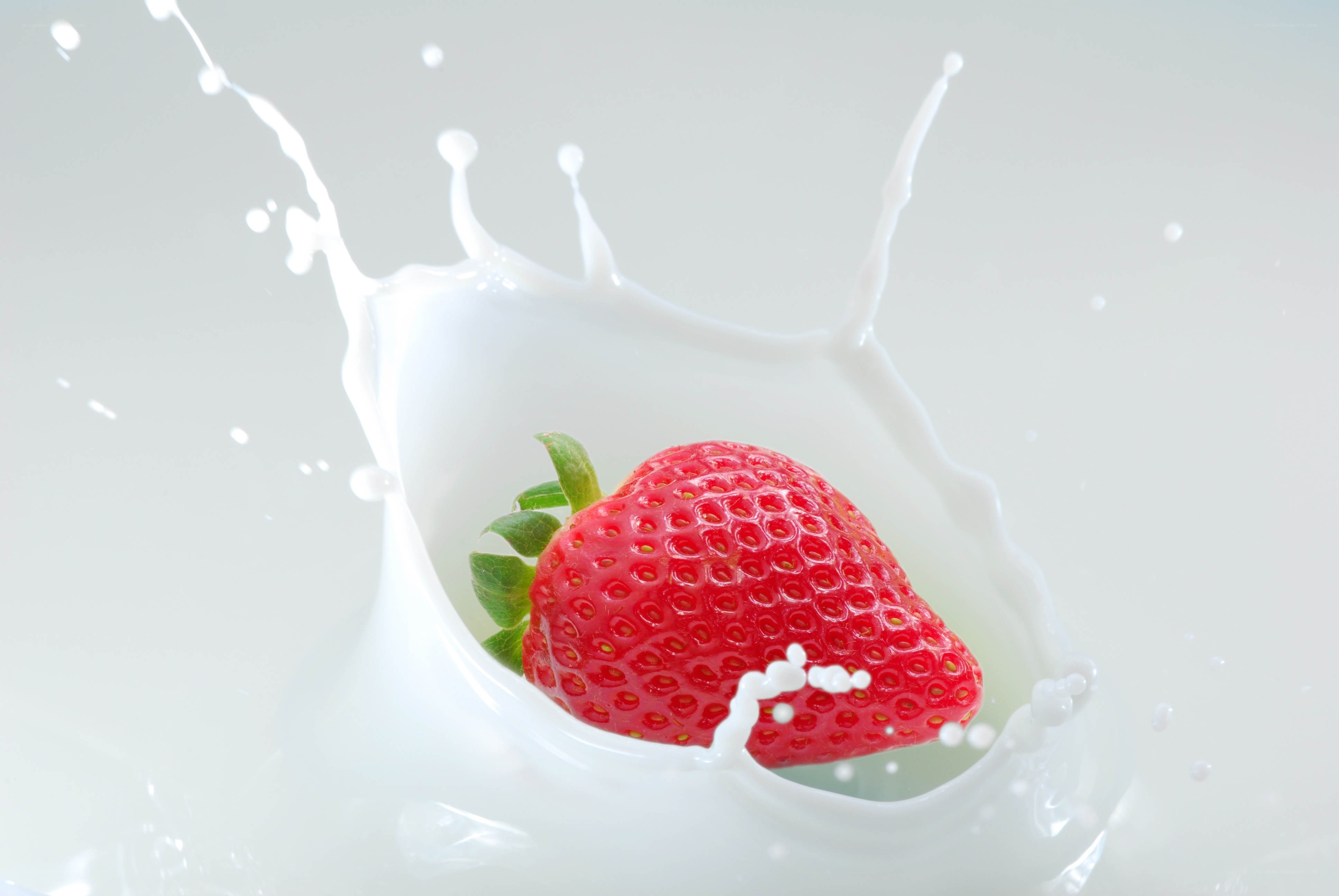 strawberry splashing in milk