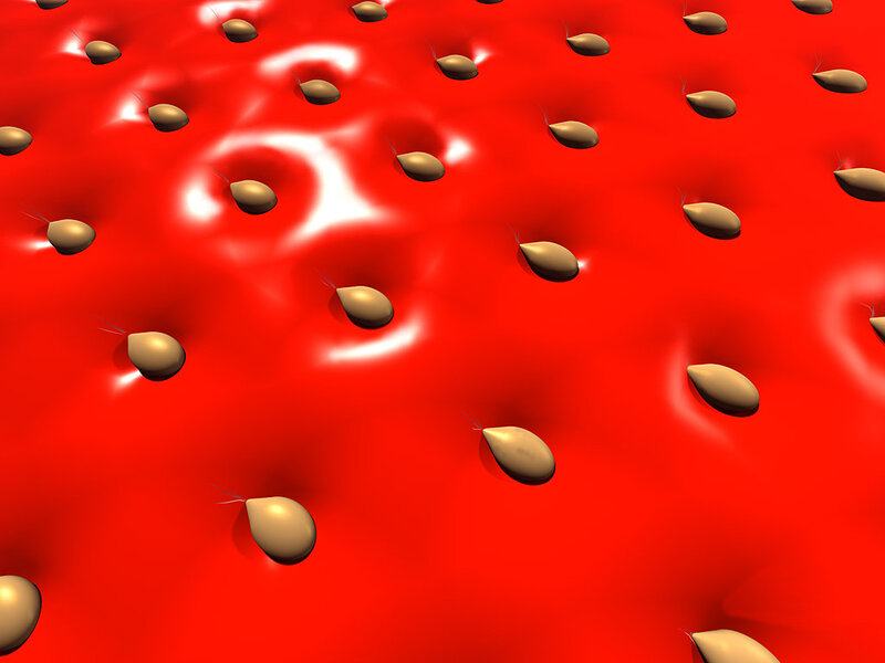 strawberry surface with seeds