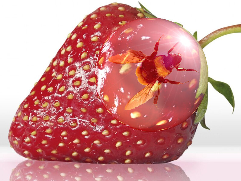 Strawberry with Bee Bubble