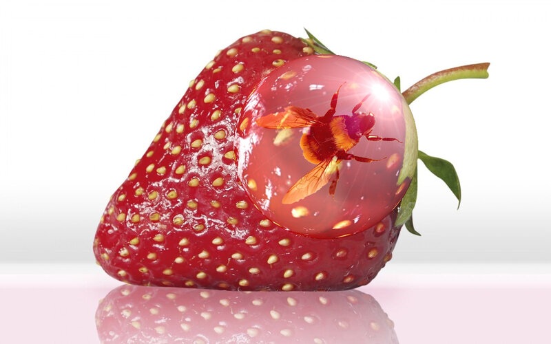 strawberry with bee in bubble