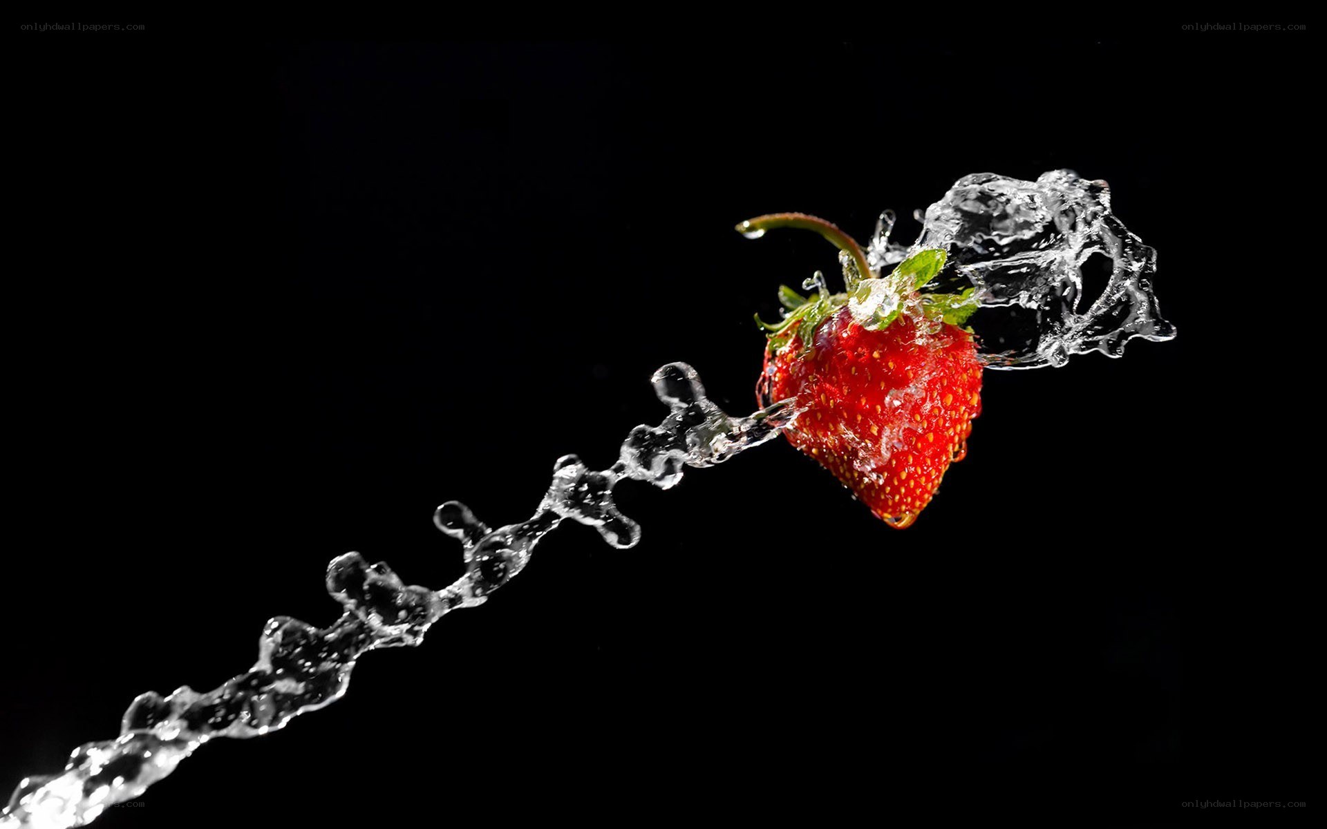 strawberry with water splash