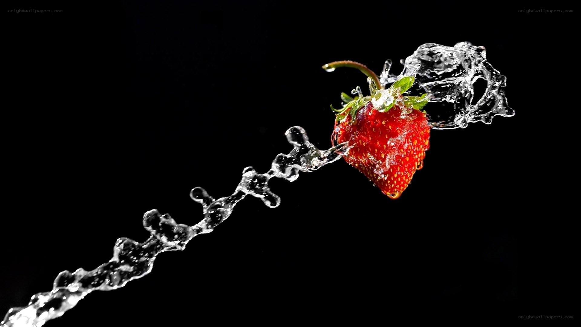 strawberry with water splash