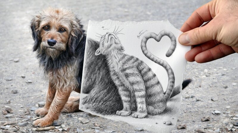 Stray Dog with Drawing