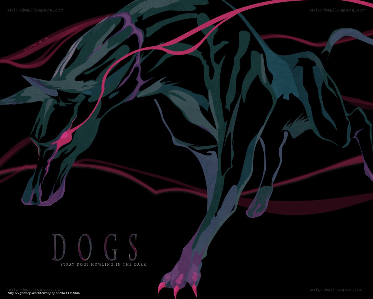 Stray dogs howling in the dark