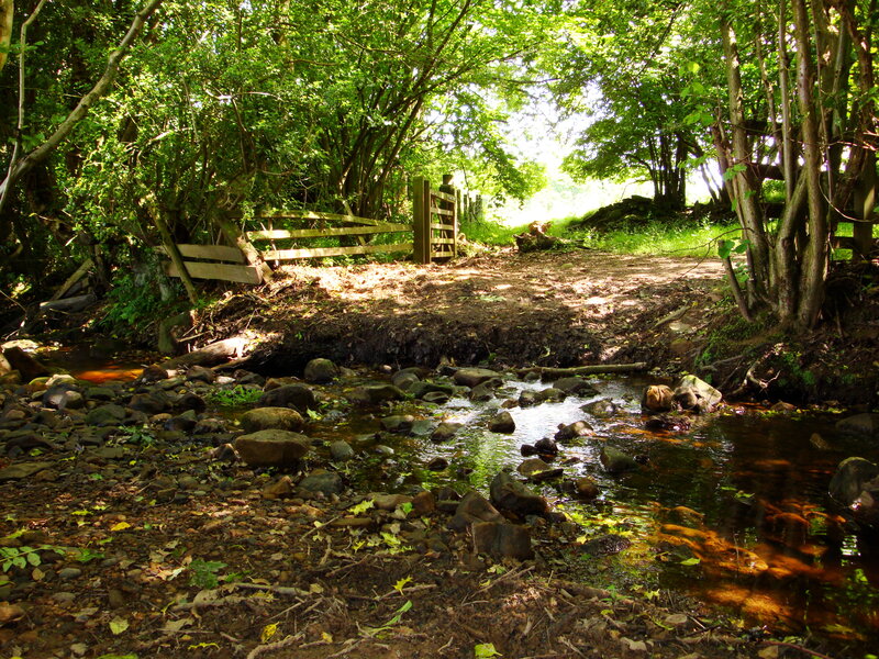 Stream crossing in wooded area