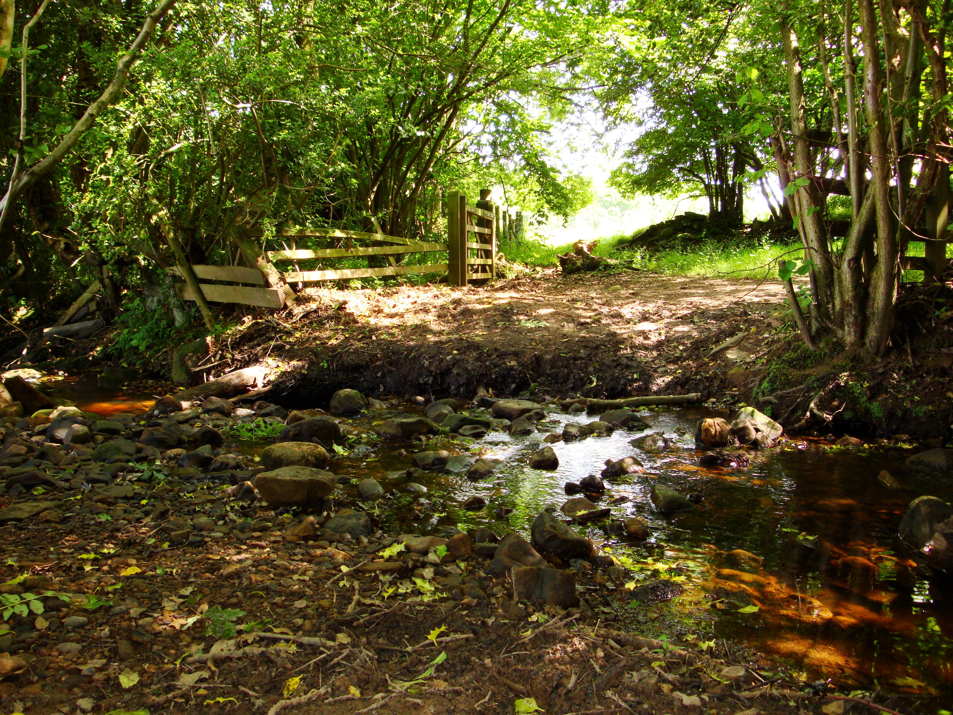 Stream crossing in wooded area