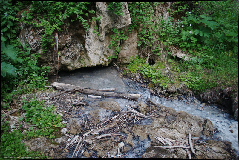 Stream flowing from a cave