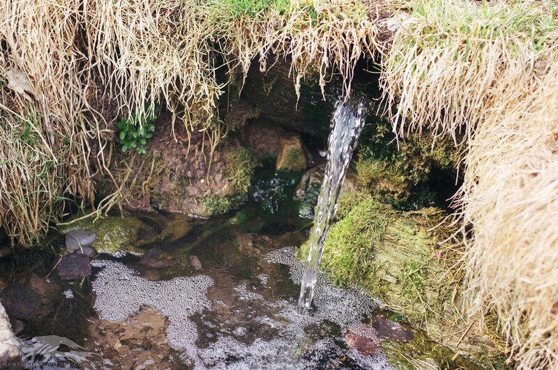 stream flowing from a grassy bank