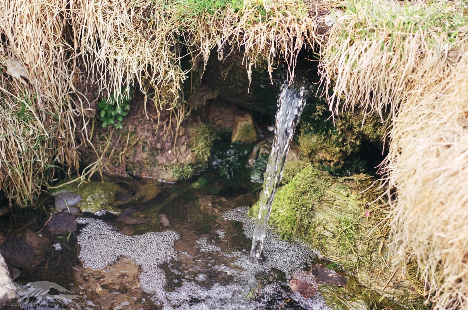 stream flowing from a grassy bank
