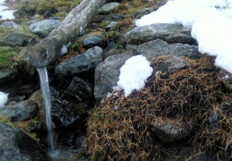 Stream Flowing from Log — Gray