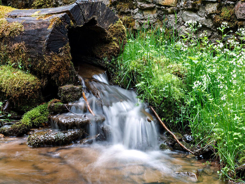 Stream Flowing from Log — Green