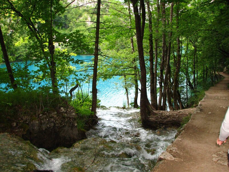Stream Flowing into Lake — Green