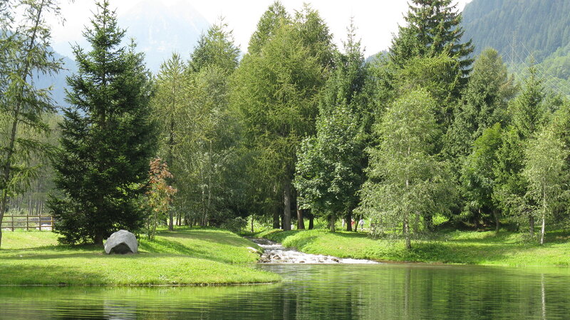Stream Flowing into Lake