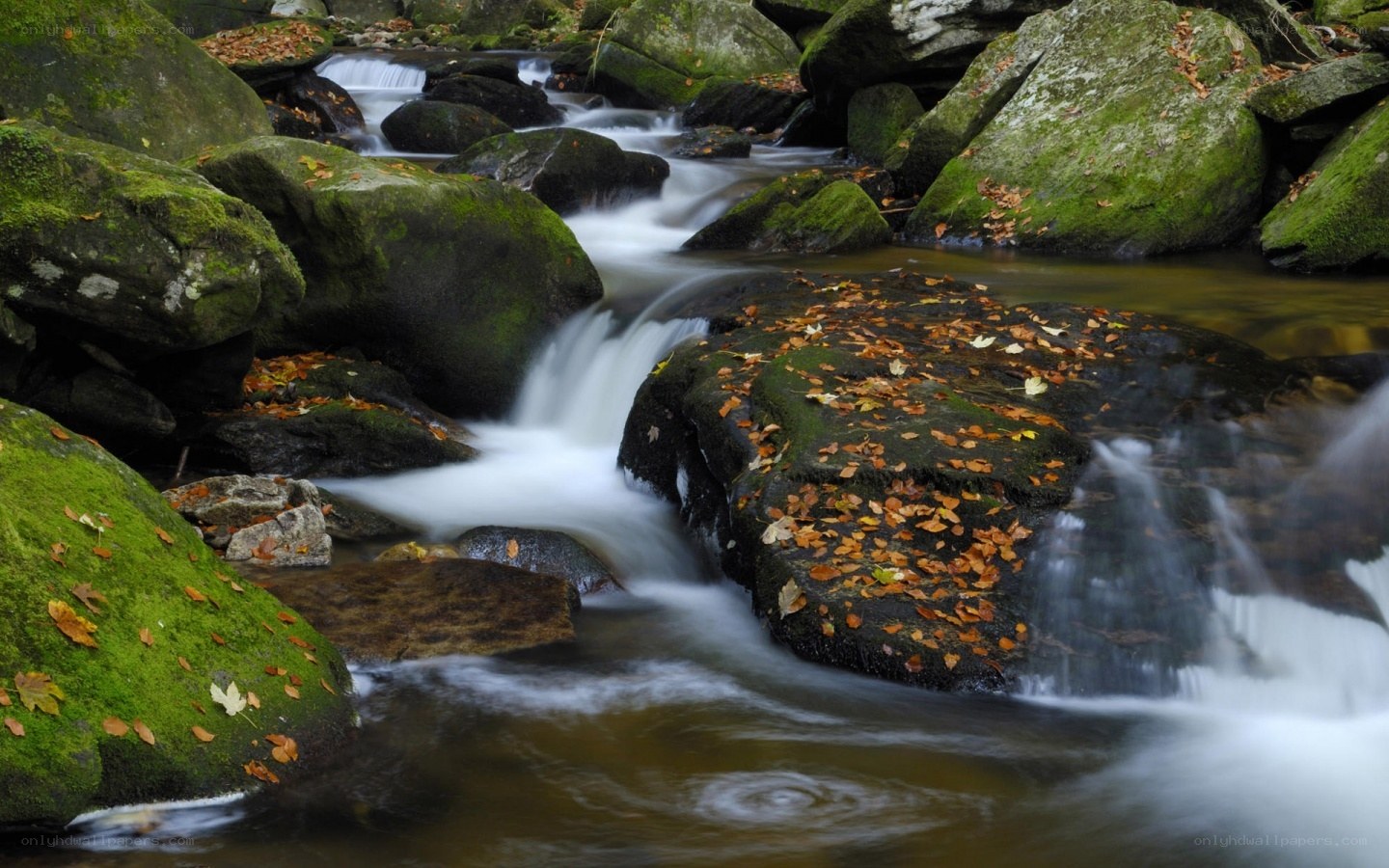 Stream flowing over mossy rocks