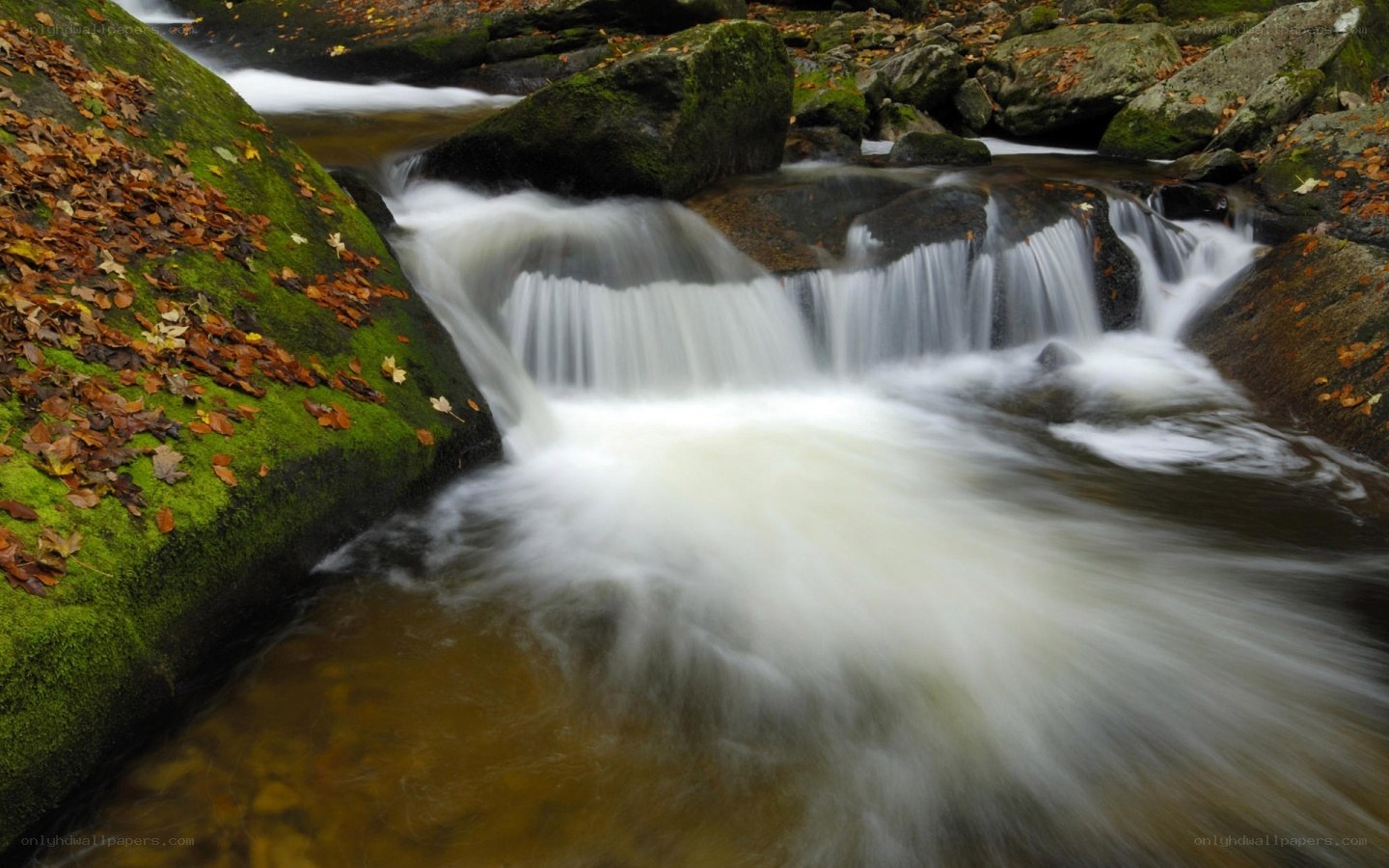Stream flowing over mossy rocks
